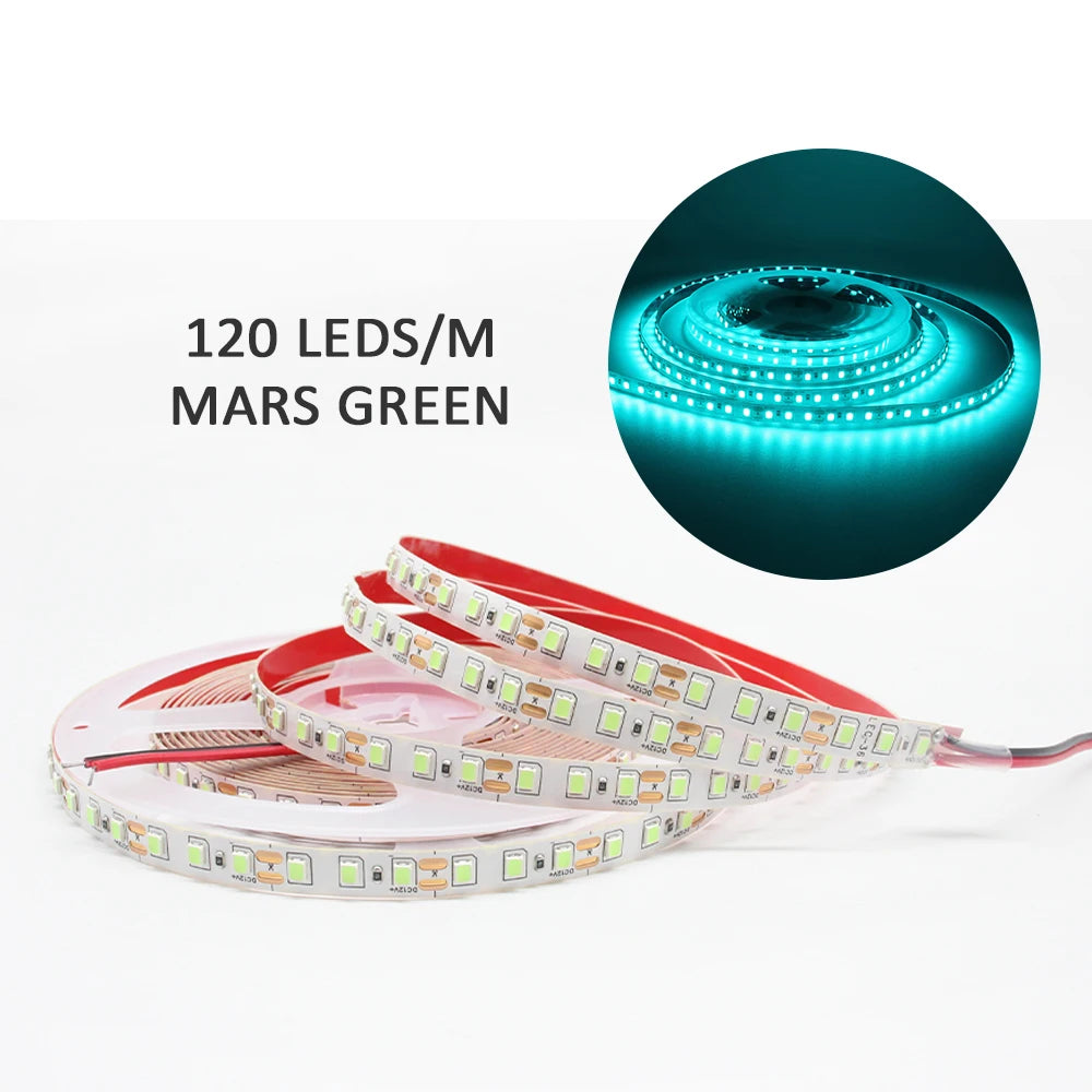 Zaarafy™ 12V SMD 2835 LED Strip Light – 120/240 LED/M, 1M-5M Warm White Flexible Ribbon