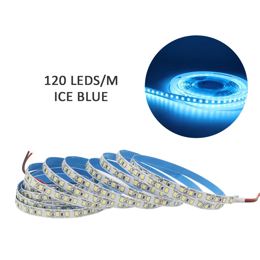 Zaarafy™ 12V SMD 2835 LED Strip Light – 120/240 LED/M, 1M-5M Warm White Flexible Ribbon