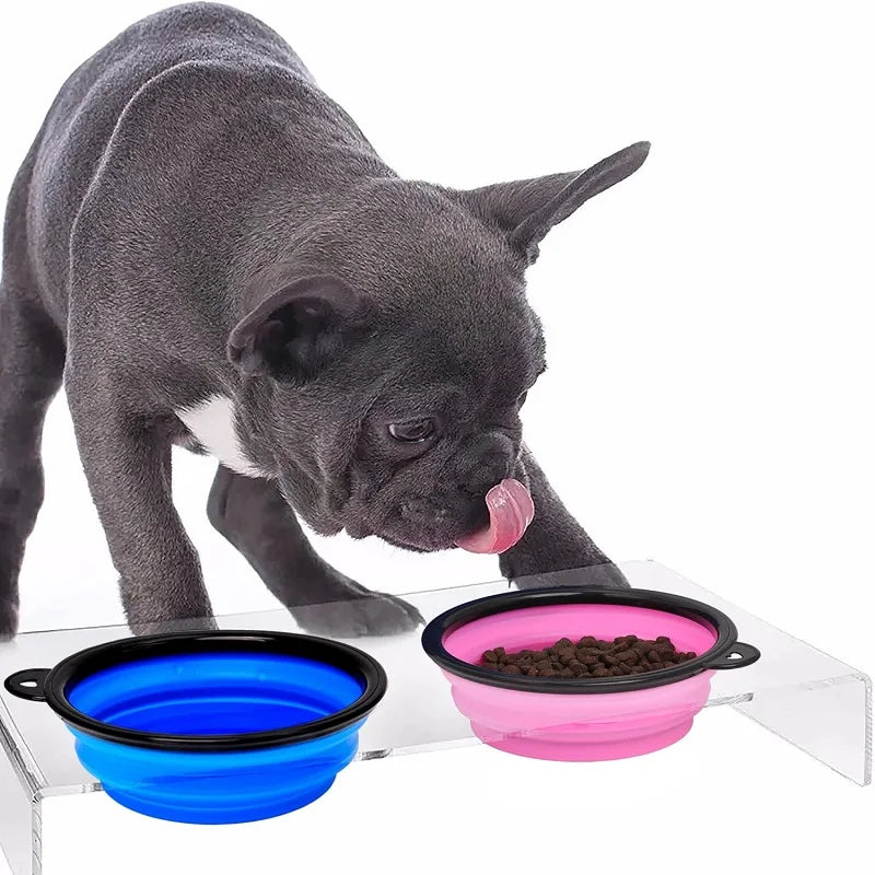 Zaarafy™ Foldable Silicone Dog Bowl – 2-in-1 Food & Water Feeder, Portable Travel Pet Bowl with Carabiner